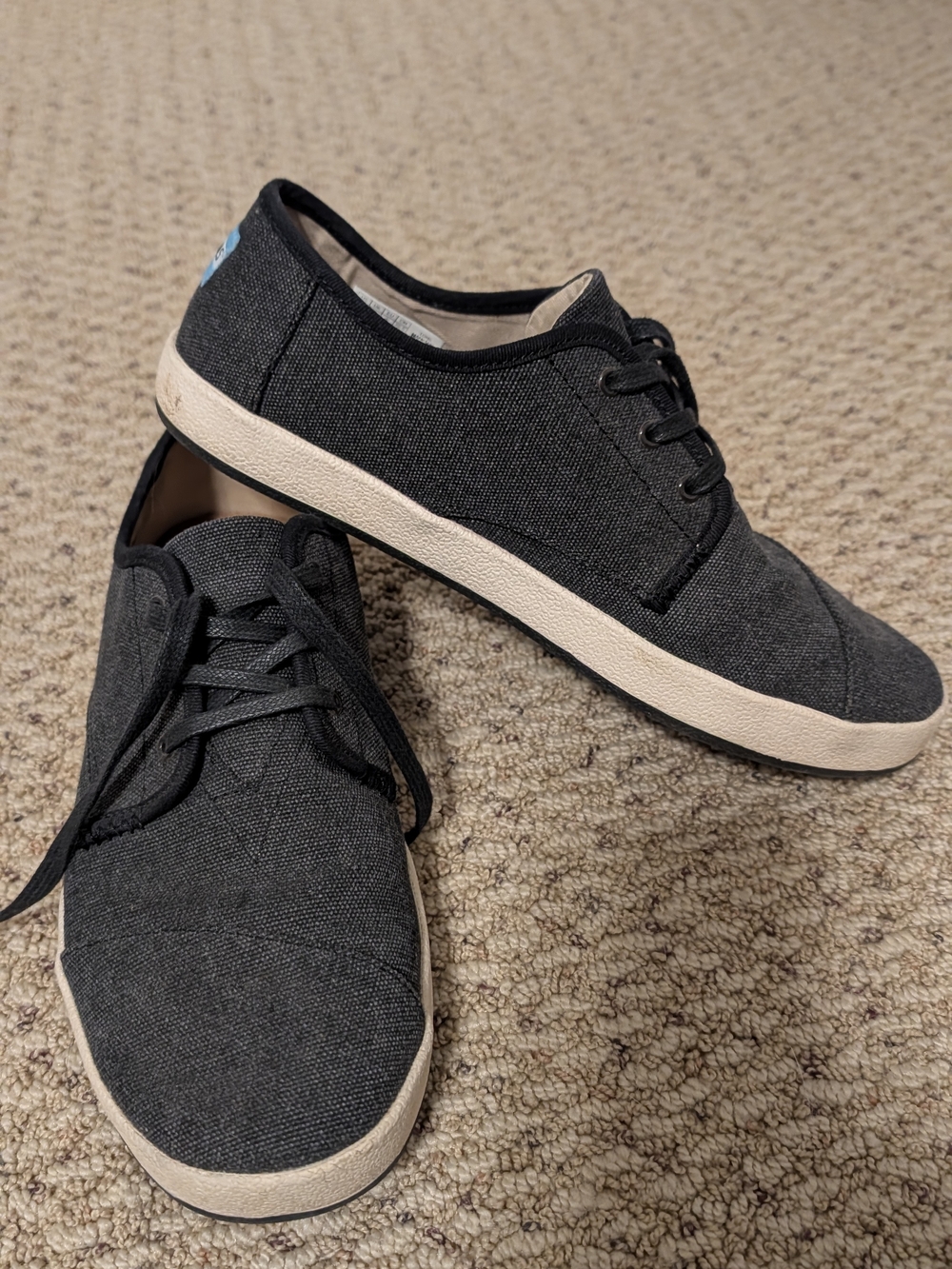 Toms Black Canvas Lace-Up Sneakers with Cream Sole